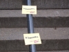 carmex001